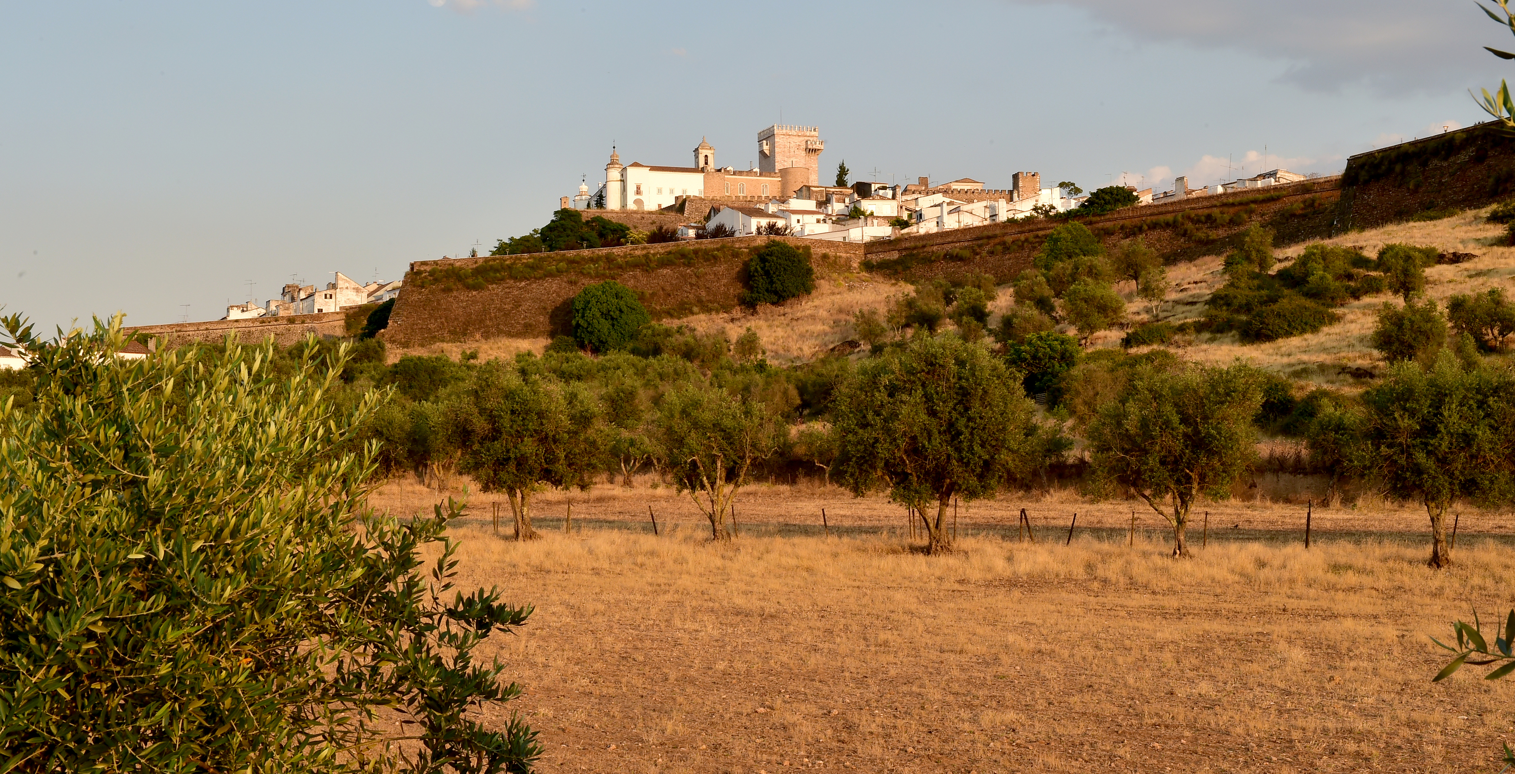 Blick auf die Landschaft um die Burg von Estremoz, die aus typischer Vegetation der Region Alentejo besteht