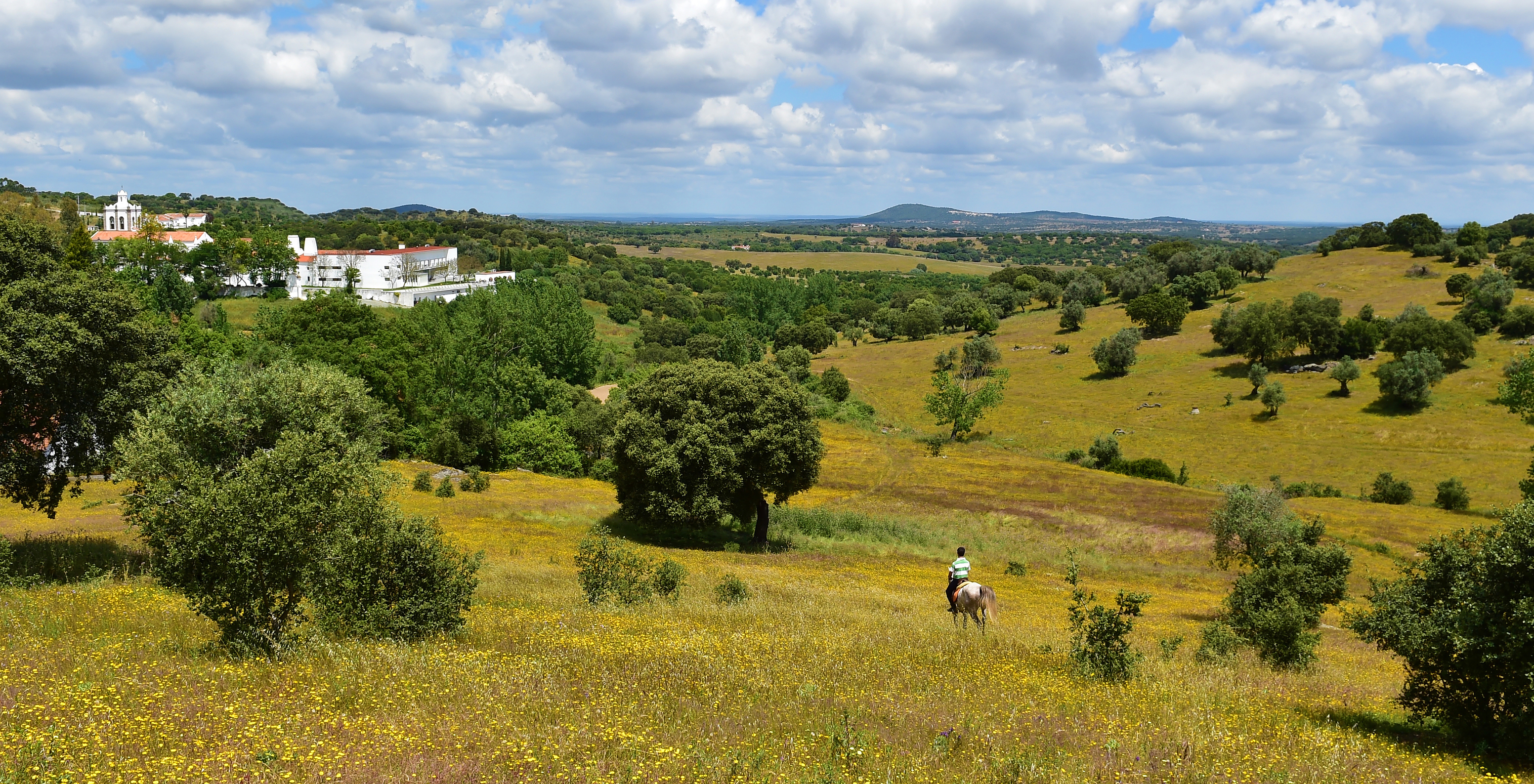 Mann reitet auf einem Pferd in den Ebenen in Arraiolos, nahe der Pousada Convento Arraiolos