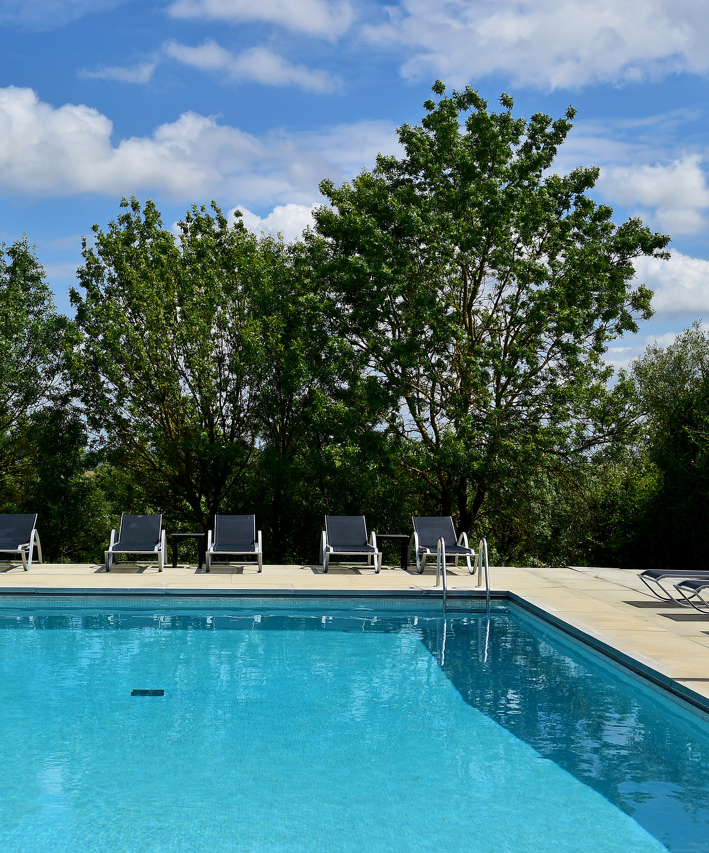 Outdoor pool at Pousada Convento Arraiolos with loungers in the midst of nature