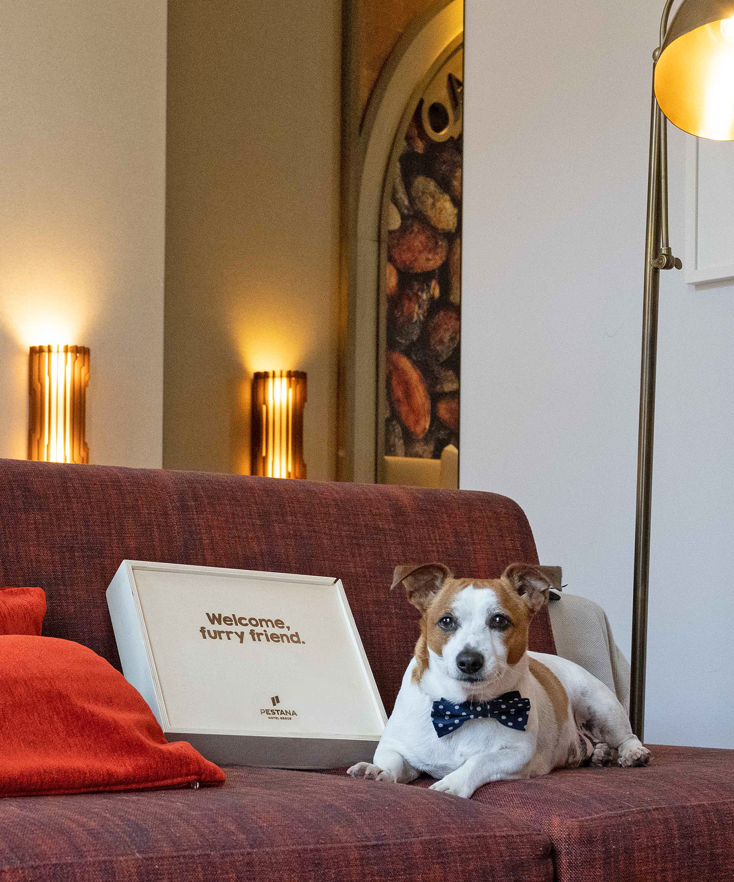 A Pousada Sagres is a pet-friendly hotel where dogs can relax with their owners in their room