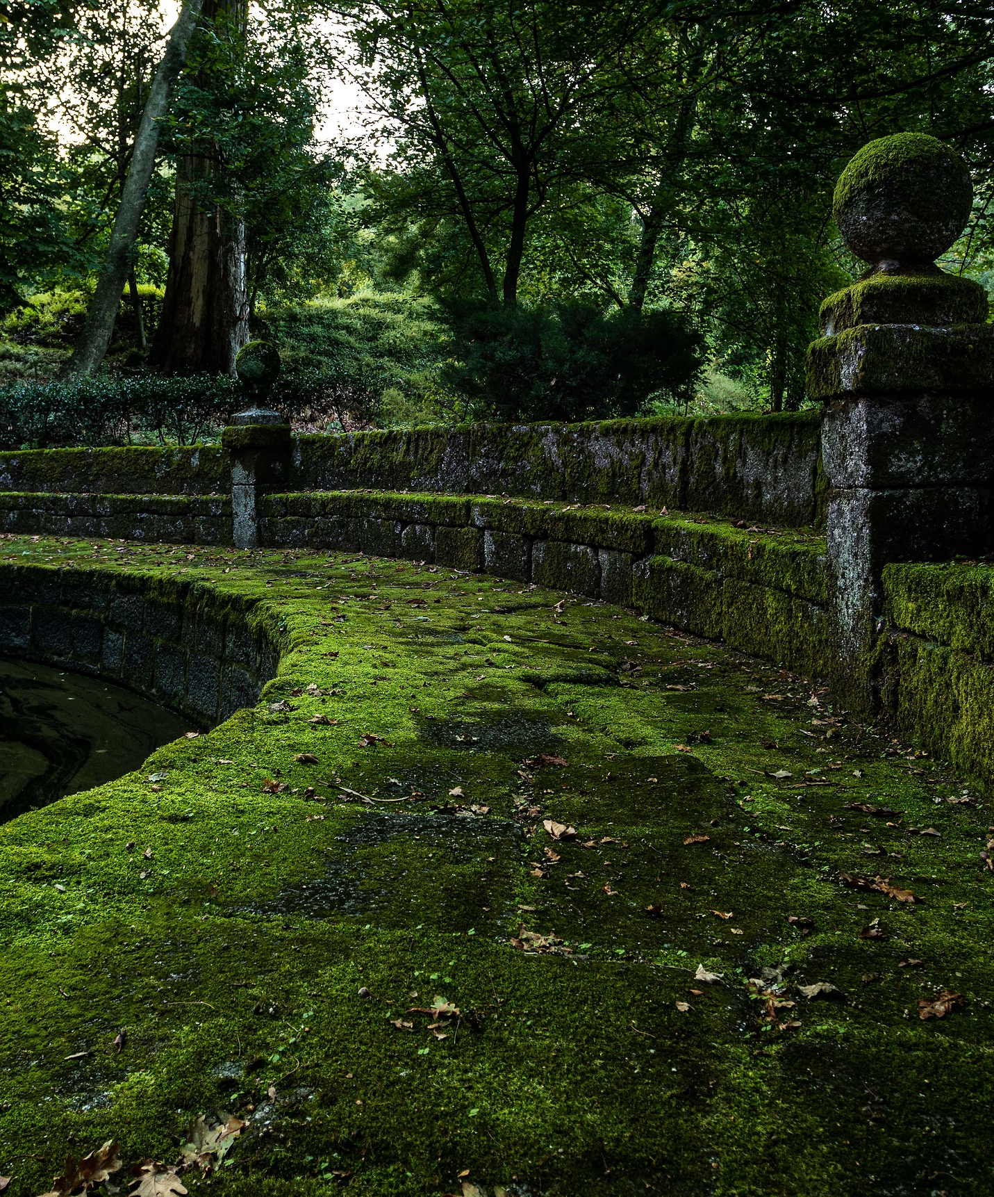 Pousada Mosteiro Guimarães, a hotel in Guimarães with a pool, has lush gardens for walking