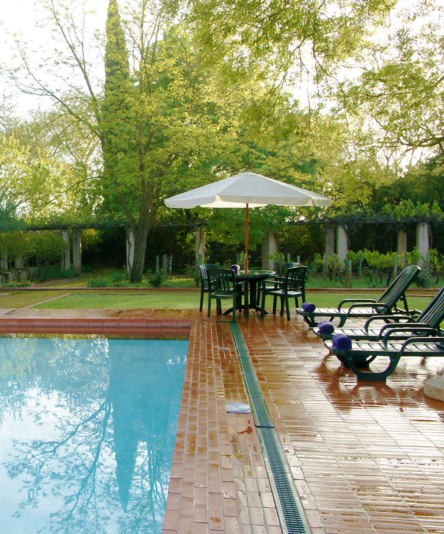 Piscina exterior con tumbonas y jardín al fondo en Pousada Castelo Alvito, hotel con spa