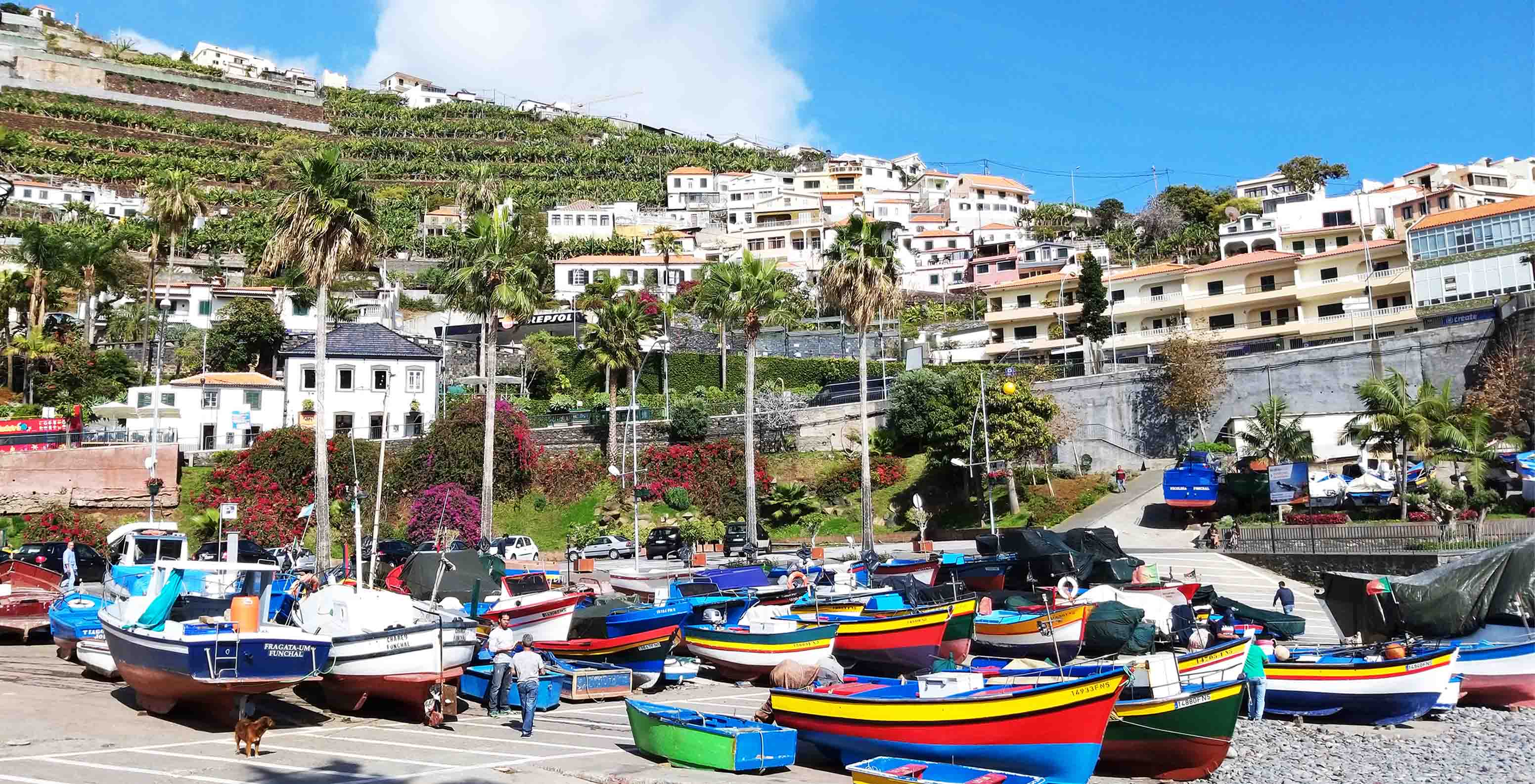 Zicht op de haven met kleurrijke boten aangemeerd bij hotel in Baía de Câmara de Lobos, nabij Funchal