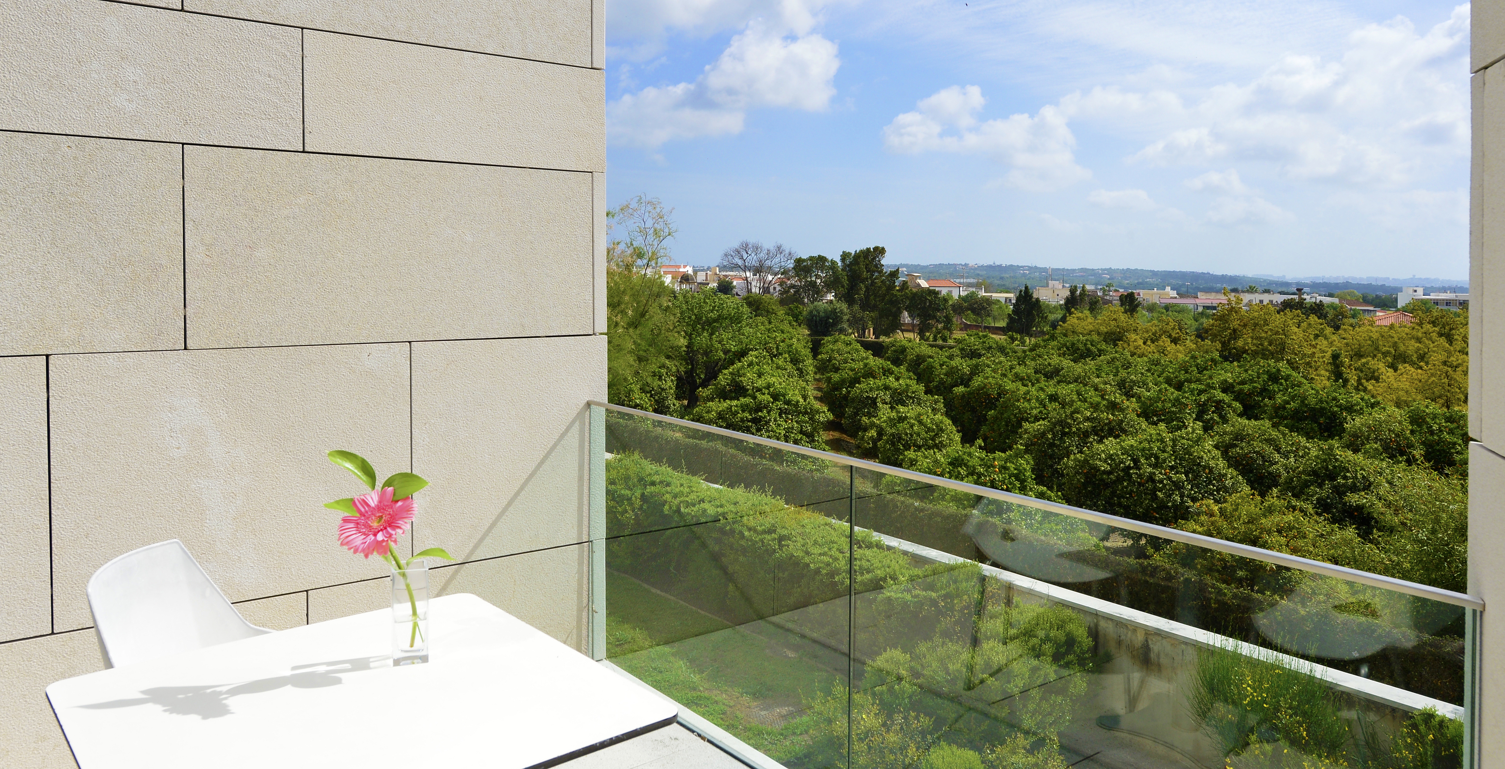 O Quarto Clássico Plus da Pousada Palácio Estoi tem uma varanda com uma mesa com uma pequena jarra e vista para o jardim