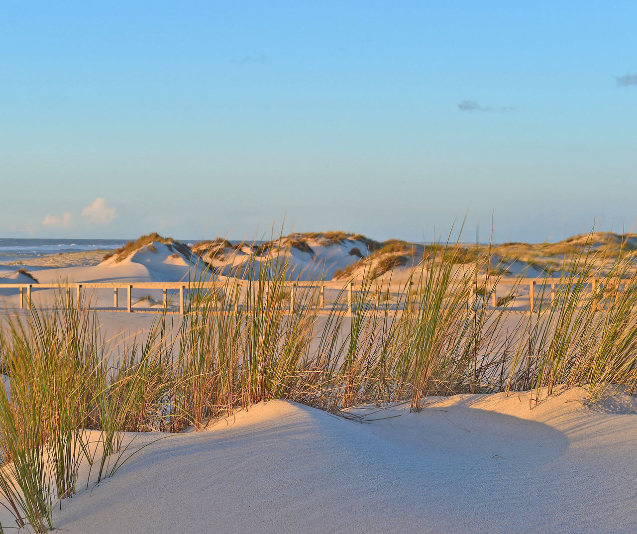 Light sandy beach Stay at a Pestana hotel in Central Portugal and discover the perfect environment to relax and breathe fresh air